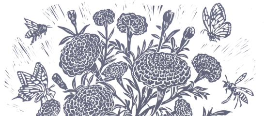 Dalee Ella Printmaker 